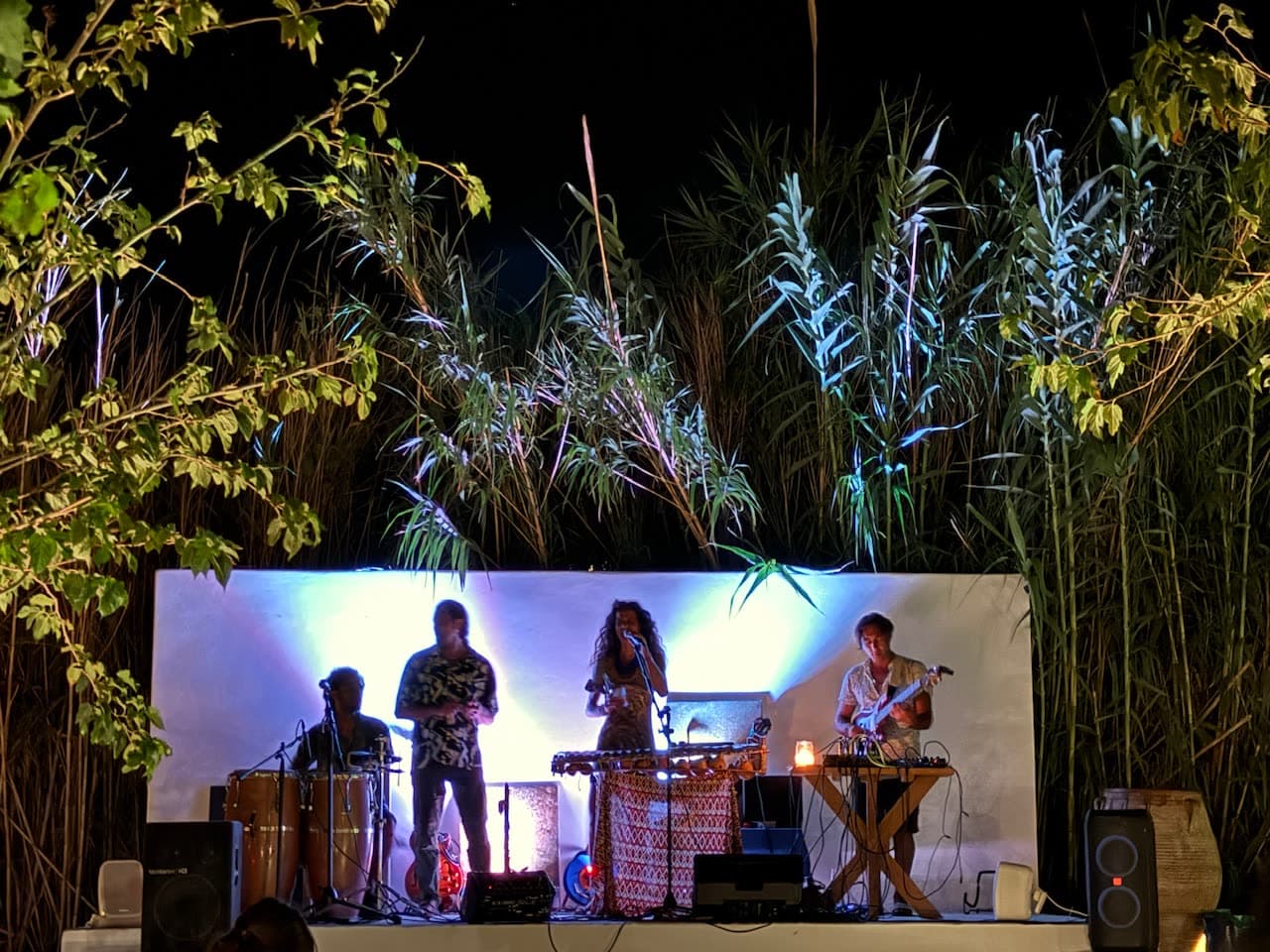 Live Stage